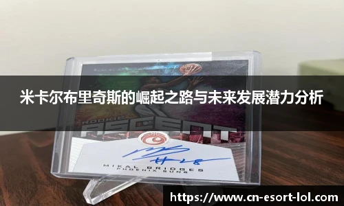 米卡尔布里奇斯的崛起之路与未来发展潜力分析